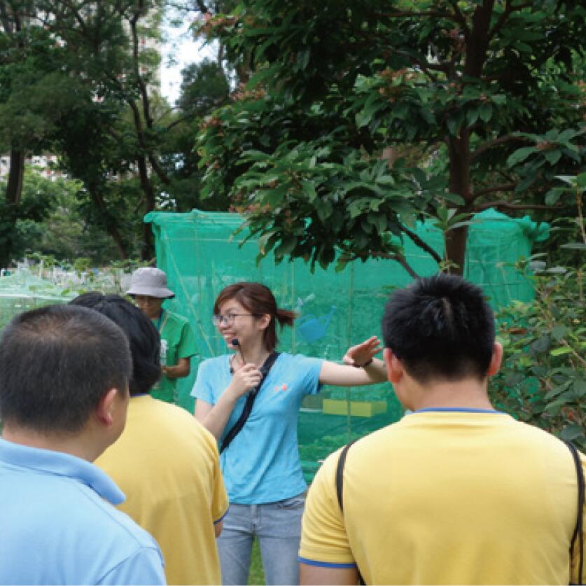 中小學教育活動</br>原生樹木探險隊