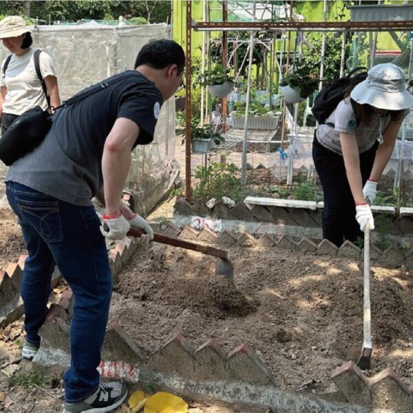 有機耕種體驗 (建議：120分鐘)